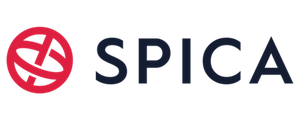 Špica